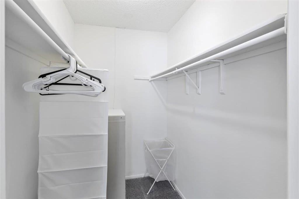 Special Apartment 1Br With Gym And Parking Bradenton Exterior photo